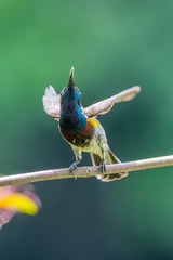 DSC_7719-编辑