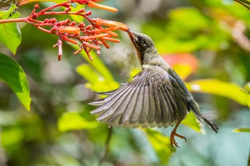DSC_7691-编辑
