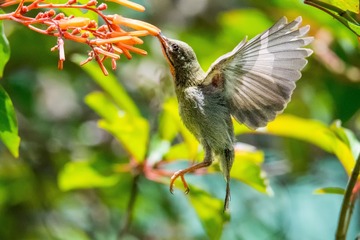 DSC_7689-编辑