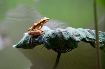 IMG_6774-编辑