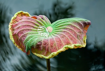 IMG_6790-编辑