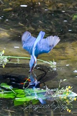 DSC_5092-编辑