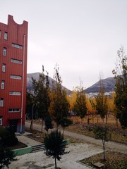 991065