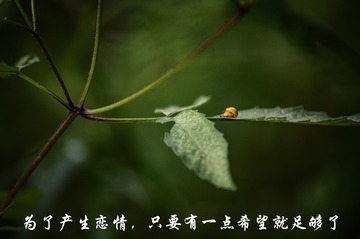 312_3881