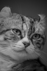 DEC_5672.jpgb