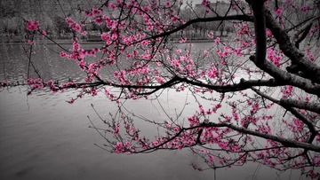 DSC_1871_mix01