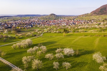_TK_9273