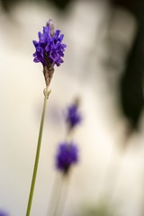 _TK_9451