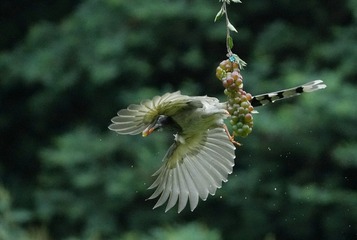 B04CA384-609F-46FC-A929-020FDAFECBC8/L0/001