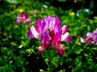 IMG_20160418_155108