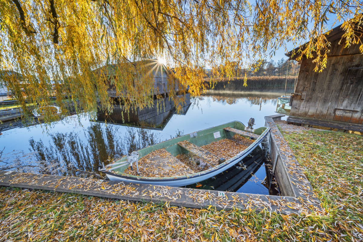 红色- stone13a - 图虫网 - 优质摄影师交流社区