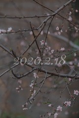 1296846