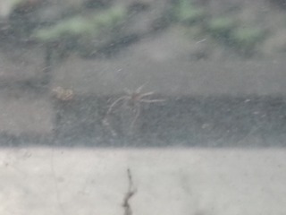 20140916_091432