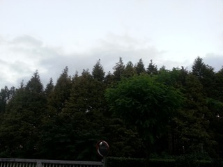 20140920_175145