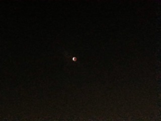 20141008_193133_LLS