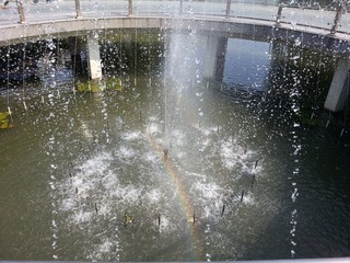 20141026_120633