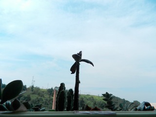 1604452