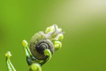 IMGP6565-1