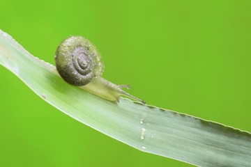 IMGP6536-1