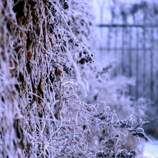 北京的风霜雨雪全记录