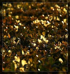 IMG_6566