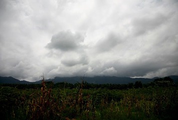 天地