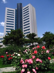 IMG_1813.JPG