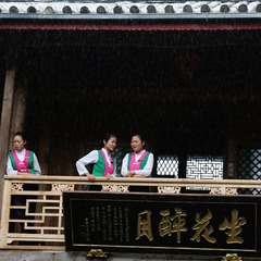 坐花醉月