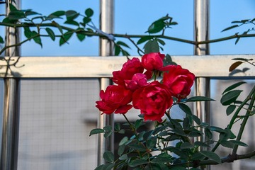 06CA83B1-2D13-48BB-82D3-7C9E927B6038/L0/001