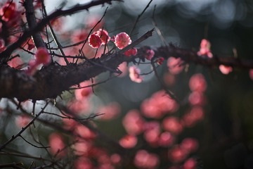 E01C386D-5331-4B1F-AC51-58FC7978BD69/L0/001