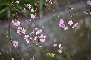 00A79F70-3991-46EB-9FDE-78CE4C5D3167/L0/001
