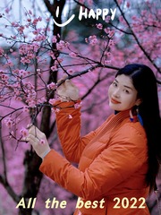 F3052D17-2050-4083-84EF-CD94704A7C5E/L0/001