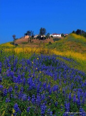 NAN_0012 (2)