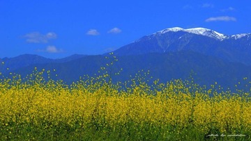 NAN_0036 (2)