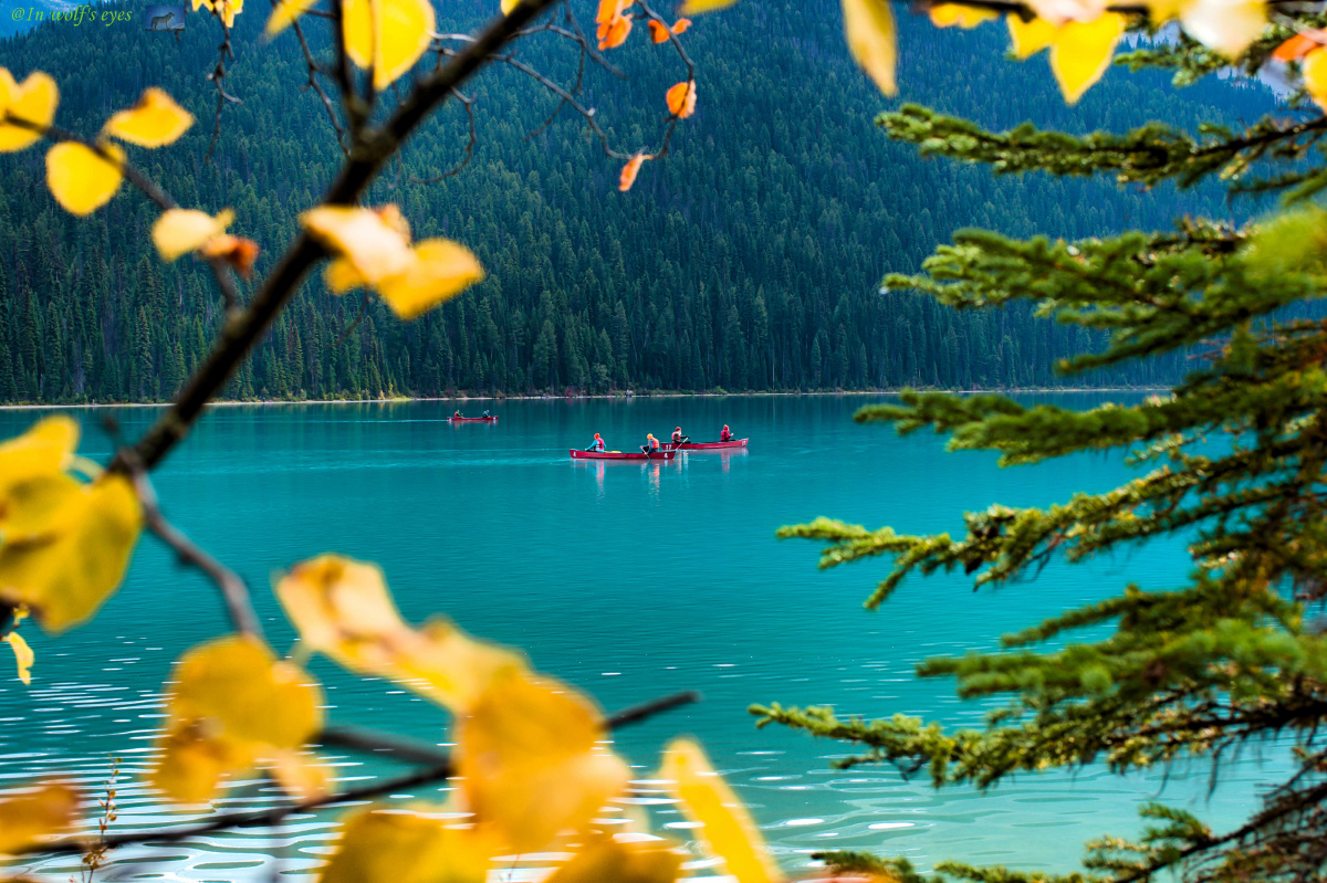 碧波荡漾加拿大幽鹤国家公园在bc省和alberta 省交界处,夏秋季节是