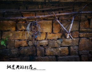 _DSC0833