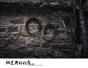 _DSC0801