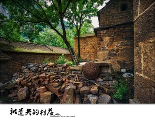 _DSC0829