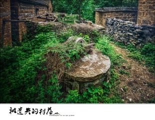 _DSC0814