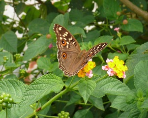 P1080901