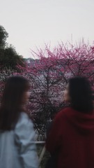 09F2341C-50F3-4904-AA83-8BFAFAC0FC79/L0/001