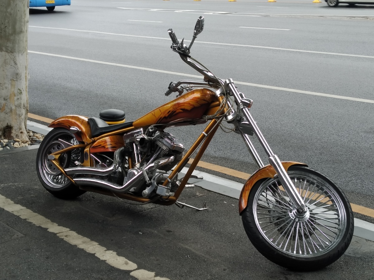 hw哈姆雷特大卫刘 - 图虫