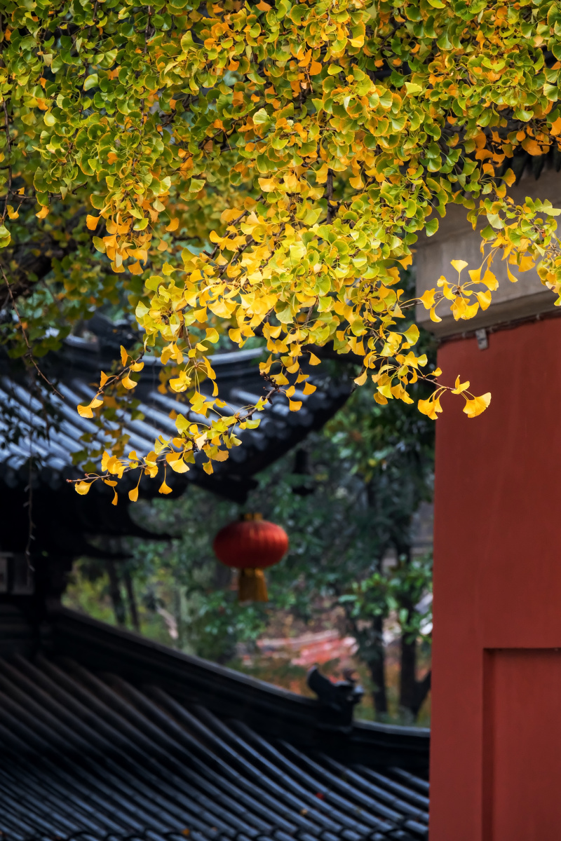 仙境栖霞古寺