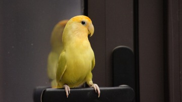 757688