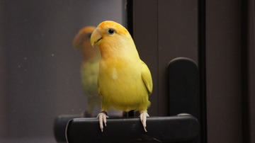 757685