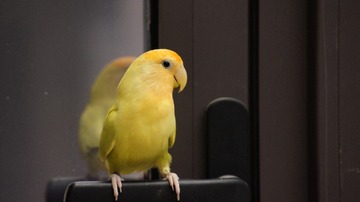 757686