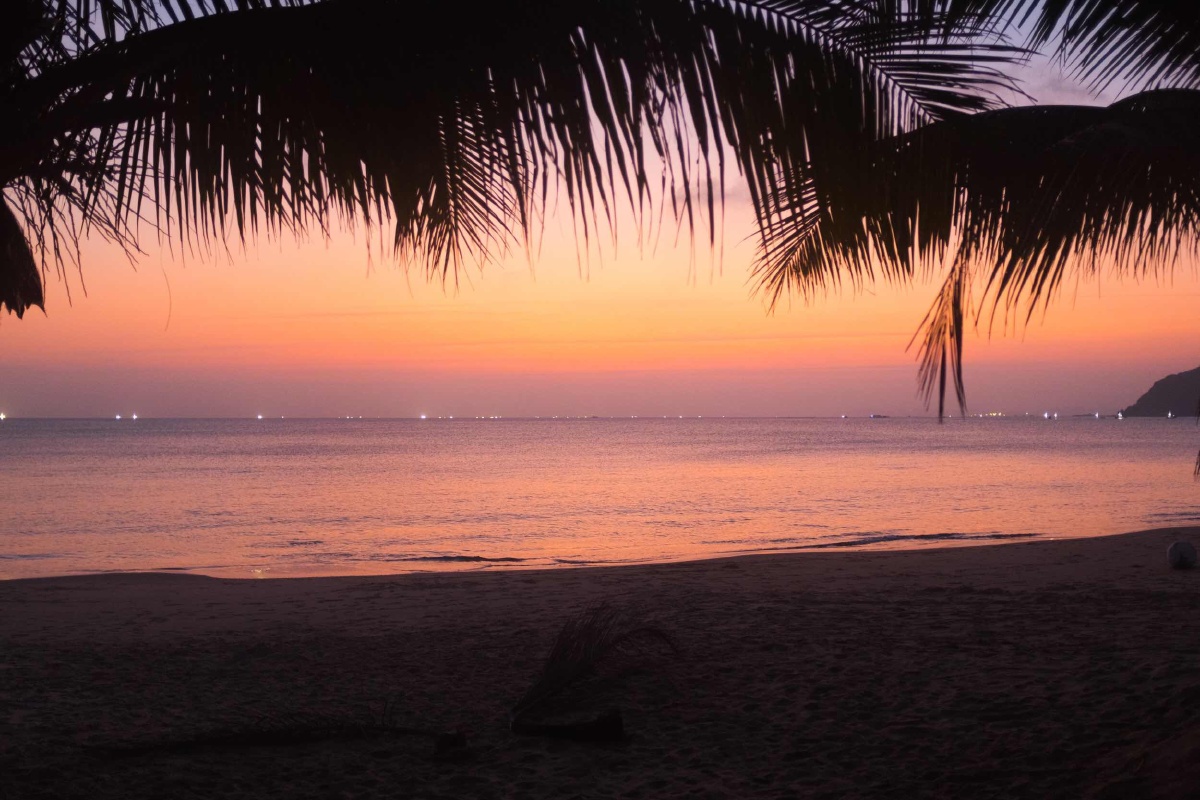 水清沙白,椰风树影