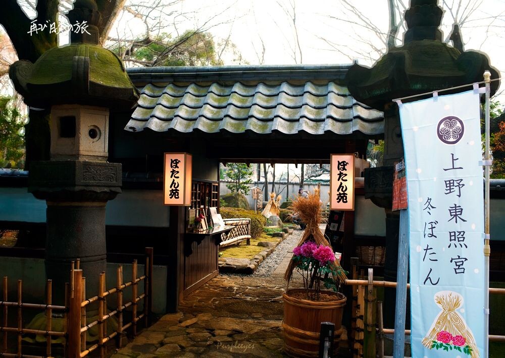 上野东照宫&春日牡丹展-1
