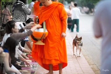 各司其职