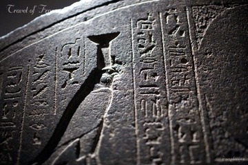 游隼-天空之神荷鲁斯的化身